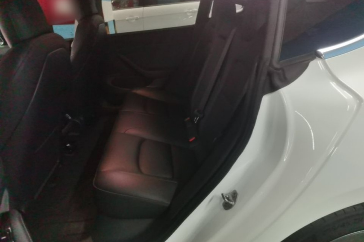 Tesla Model 3 2020 #17 Tesla Model 3 2020 car image #17