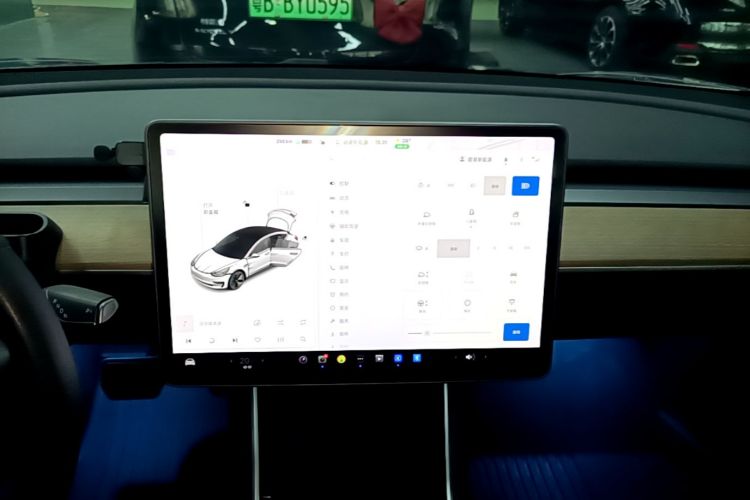 Tesla Model 3 2020 car image #13