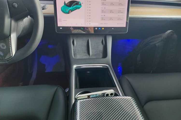 Tesla Model 3 2021 car image #13