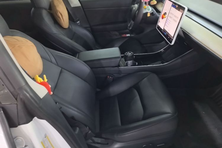 Tesla Model 3 2020 #24 Tesla Model 3 2020 car image #24
