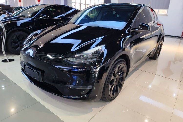 Tesla Model Y 2021 car image #2