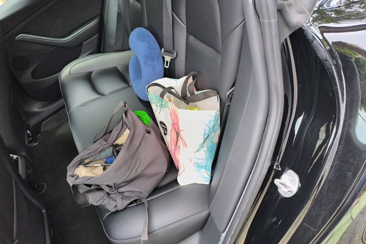 Tesla Model 3 2022 car image #10