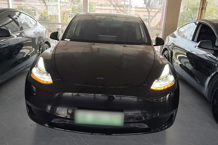 Tesla Model Y 2021 #3 Tesla Model Y 2021 car image #3