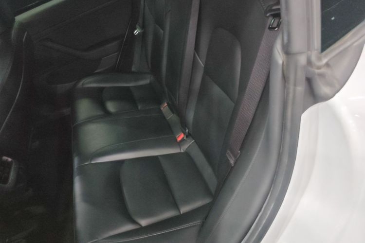 Tesla Model 3 2020 #17 Tesla Model 3 2020 car image #17