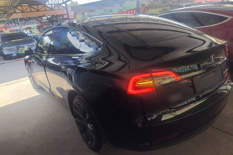 Tesla Model 3 2021 #5 Tesla Model 3 2021 car image #5