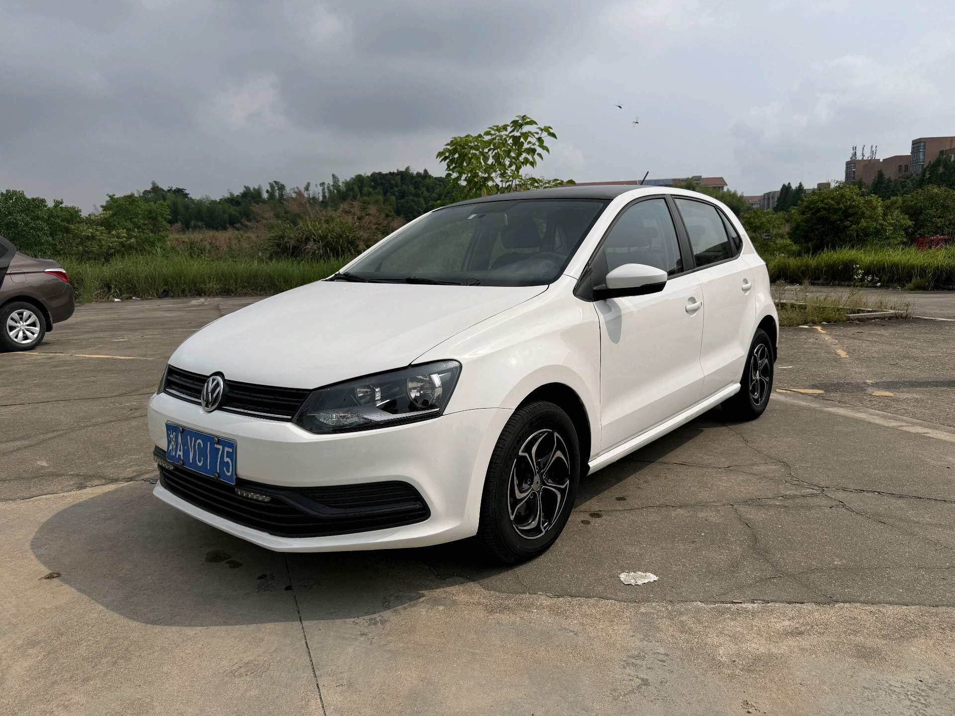 Volkswagen Polo 2014 car image 