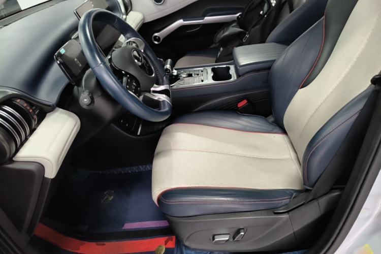 BYD Yuan Plus 2022 #15 BYD Yuan Plus 2022 immagine di auto #15