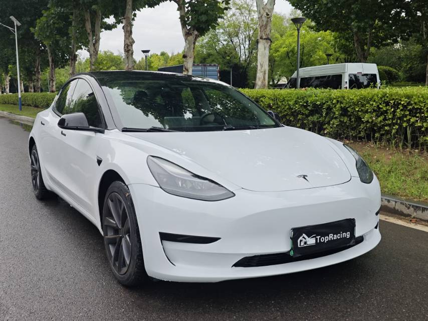 Tesla Model 3 2022 #3 Tesla Model 3 2022 car image #3