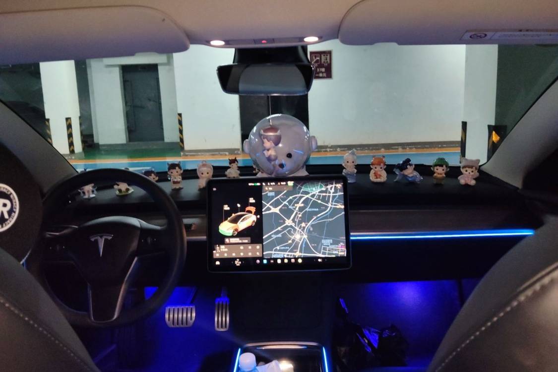 Tesla Model 3 2021 immagine di auto #20