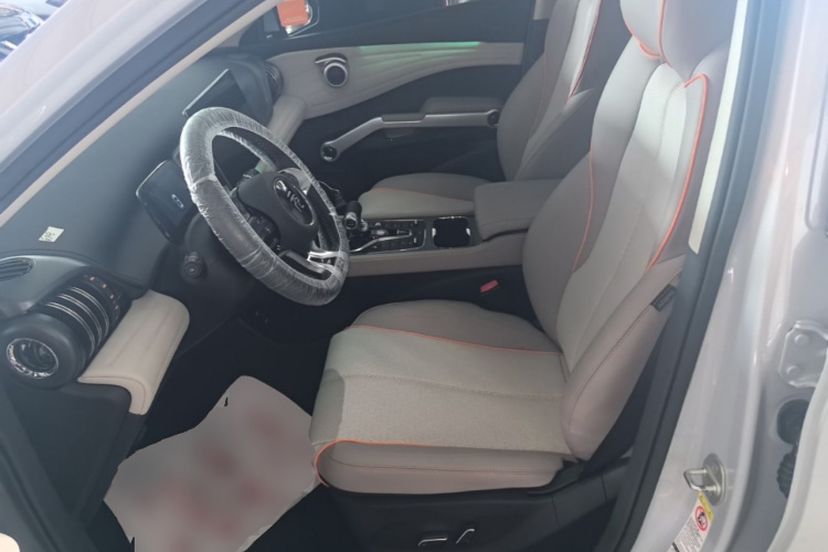 BYD Yuan Plus 2024 car image #15