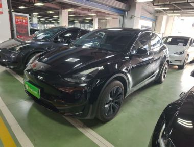 Tesla Model Y 2023 car image 