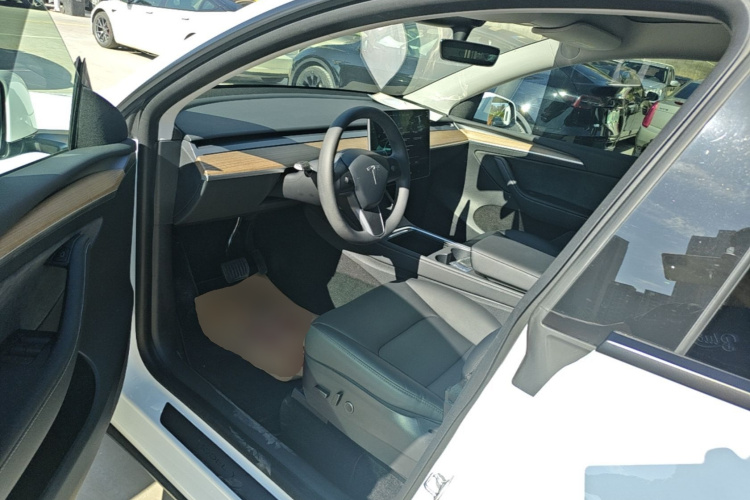 Tesla Model Y 2022 car image #15