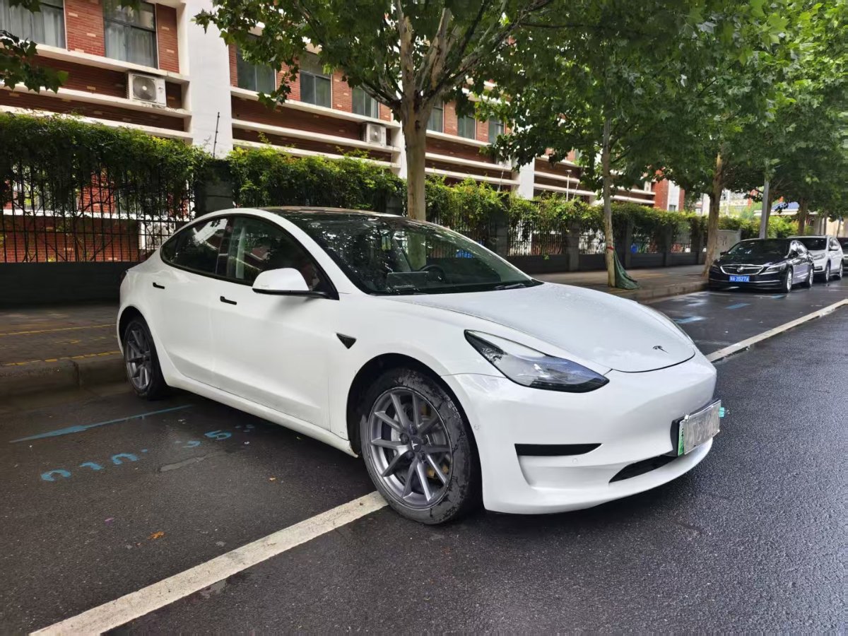 Tesla Model 3 2021 #2 Tesla Model 3 2021 car image #2