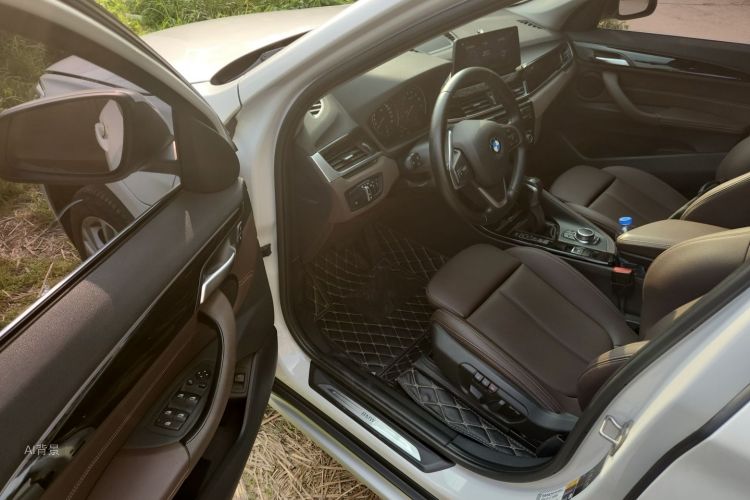 BMW X1 New Energy 2019 car image #18