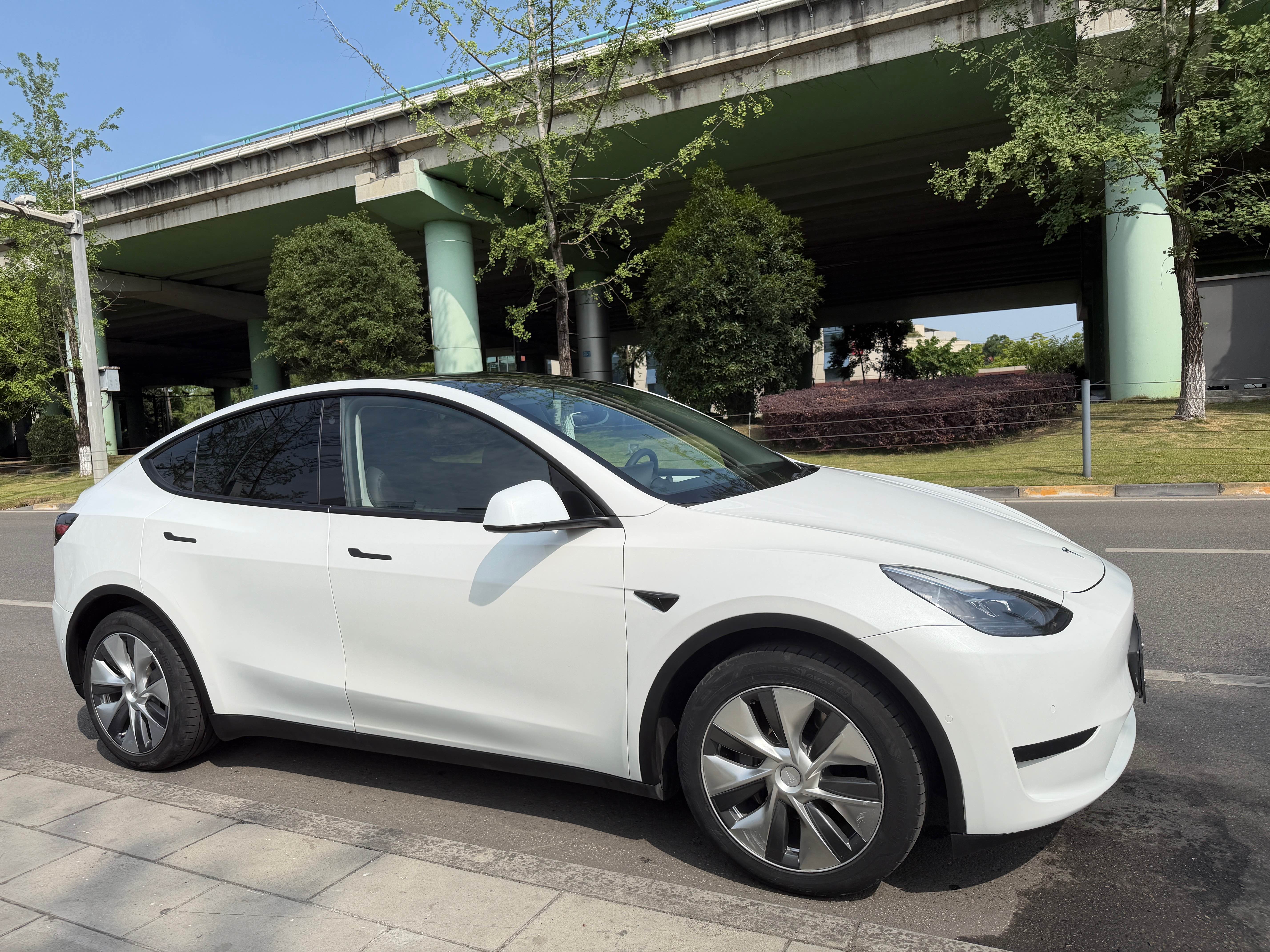 Tesla Model Y 2023 #5 Tesla Model Y 2023 car image #5