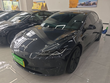 Tesla Model 3 2024 Tesla Model 3 2024 car image