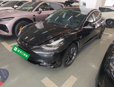 Tesla Model 3 2020 Tesla Model 3 2020 car image