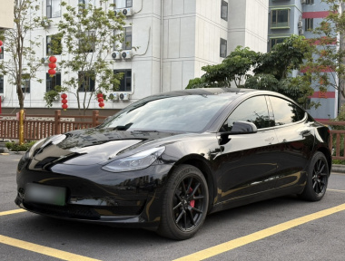 Tesla Model 3 2022 Tesla Model 3 2022 car image