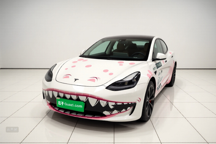 Tesla Model 3 2022 car image #2
