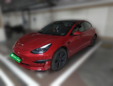 Tesla Model 3 2021 Tesla Model 3 2021 car image