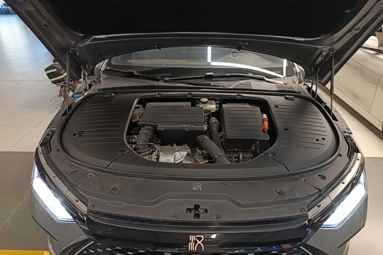 BYD Han 2022 immagine di auto #29