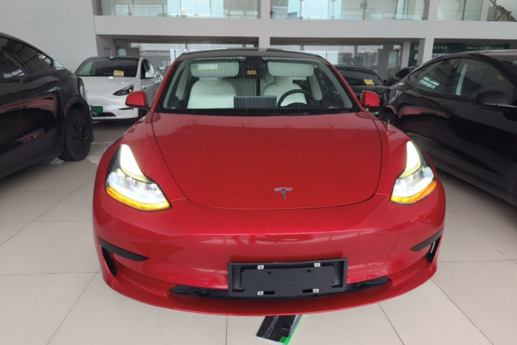 Tesla Model 3 2021 immagine di auto #3