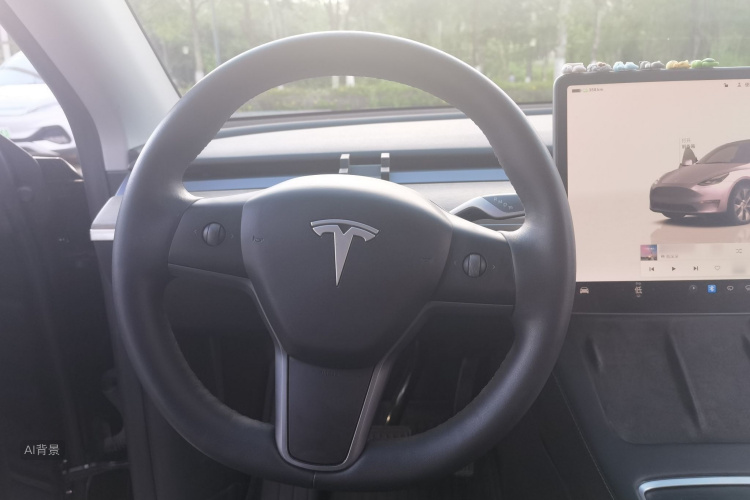 Tesla Model Y 2022 car image #12