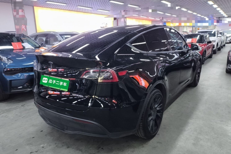 Tesla Model Y 2021 immagine di auto #7