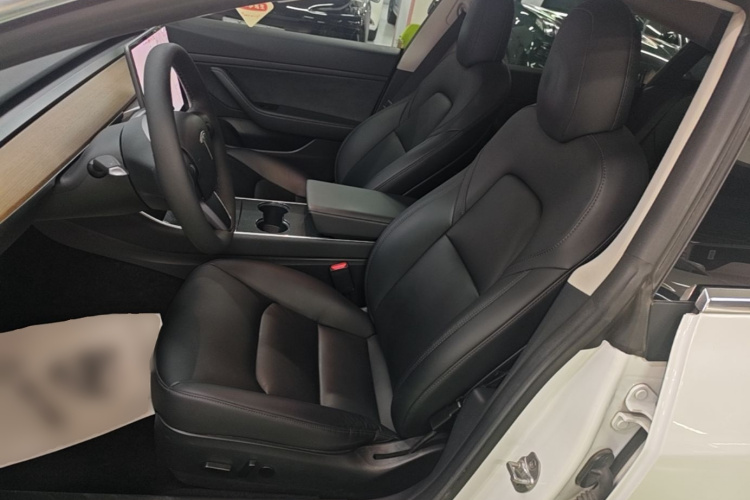 Tesla Model 3 2020 #15 Tesla Model 3 2020 car image #15