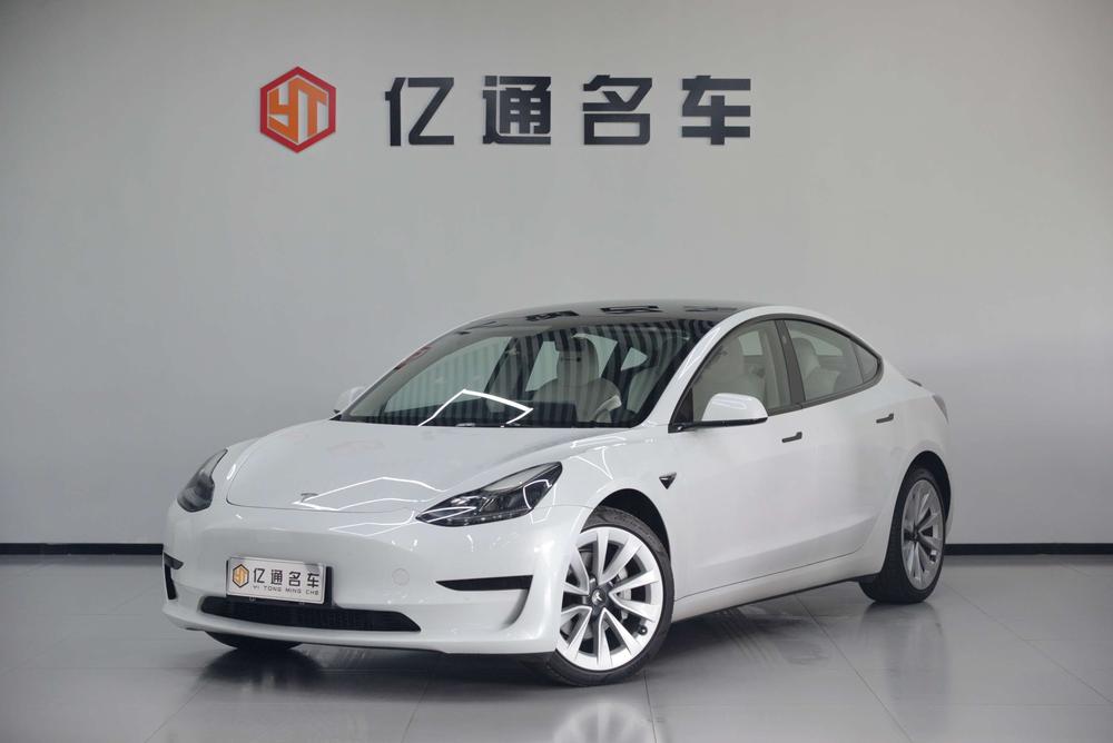 Tesla Model 3 2021 imagem de carro 