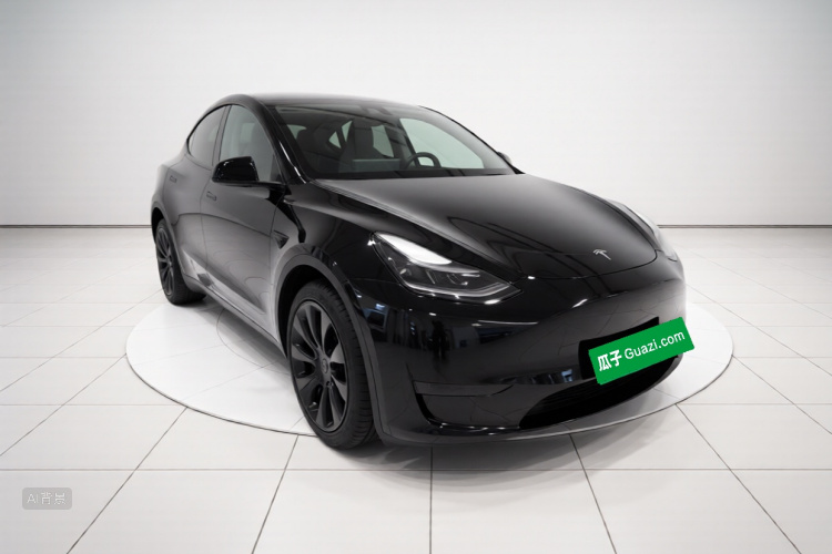 Tesla Model Y 2021 car image #4