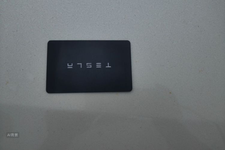 Tesla Model 3 2021 #10 Tesla Model 3 2021 car image #10