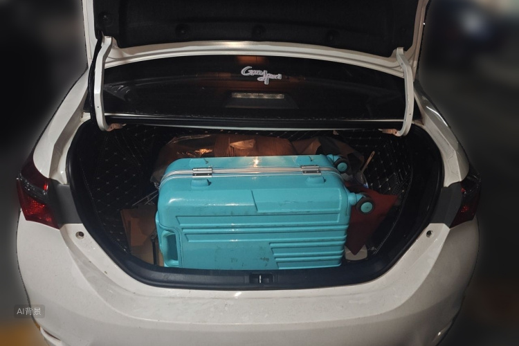 Toyota Corolla 2018 car image #21
