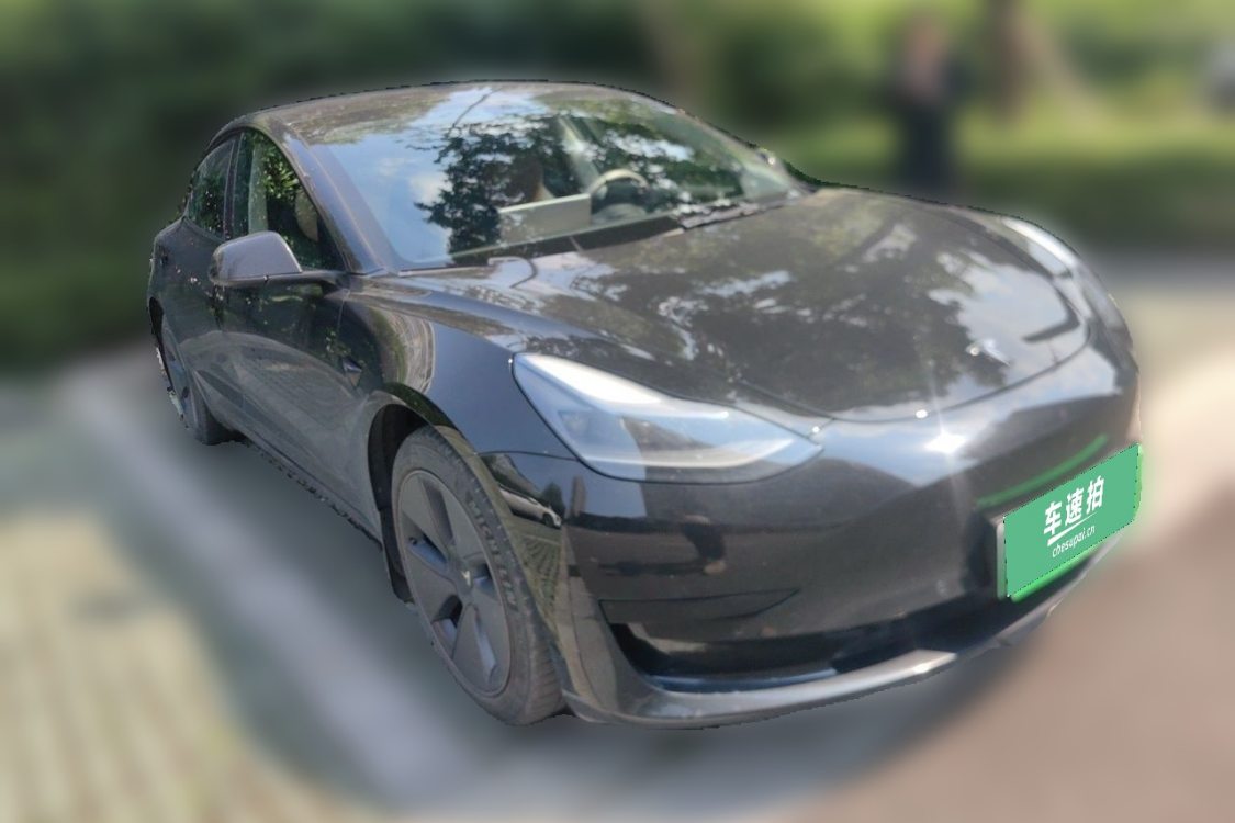 Tesla Model 3 2021 imagem de carro #2
