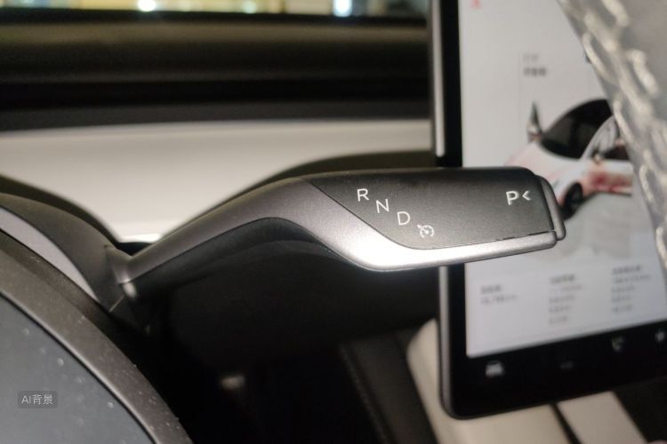 Tesla Model 3 2023 car image #16