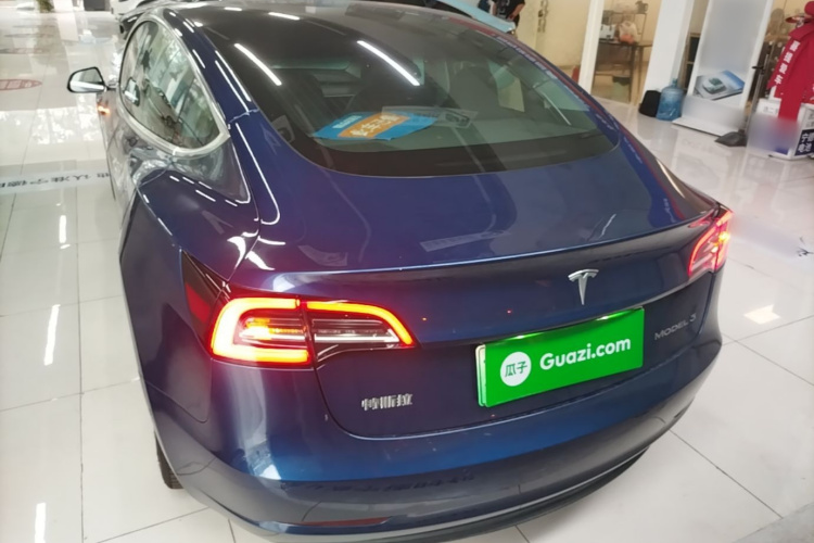 Tesla Model 3 2020 car image #6