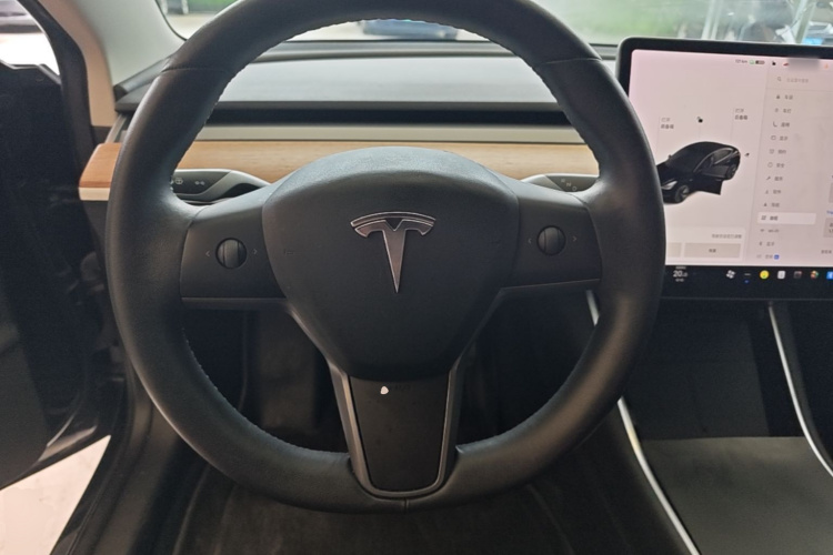 Tesla Model 3 2020 #11 Tesla Model 3 2020 car image #11