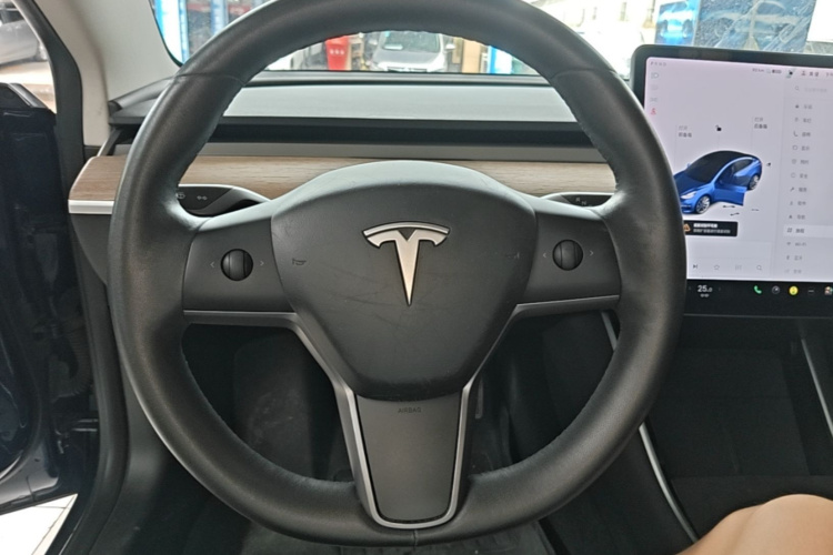 Tesla Model 3 2020 car image #11