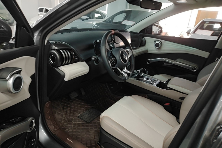BYD Yuan Plus 2024 car image #15