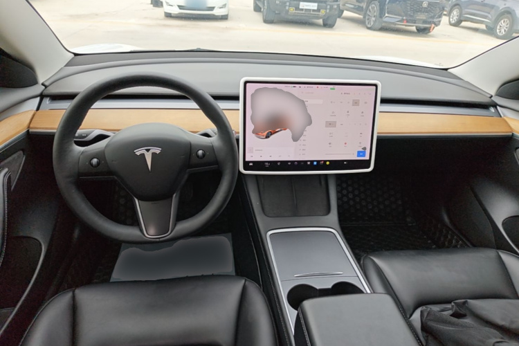 Tesla Model 3 2021 car image #10