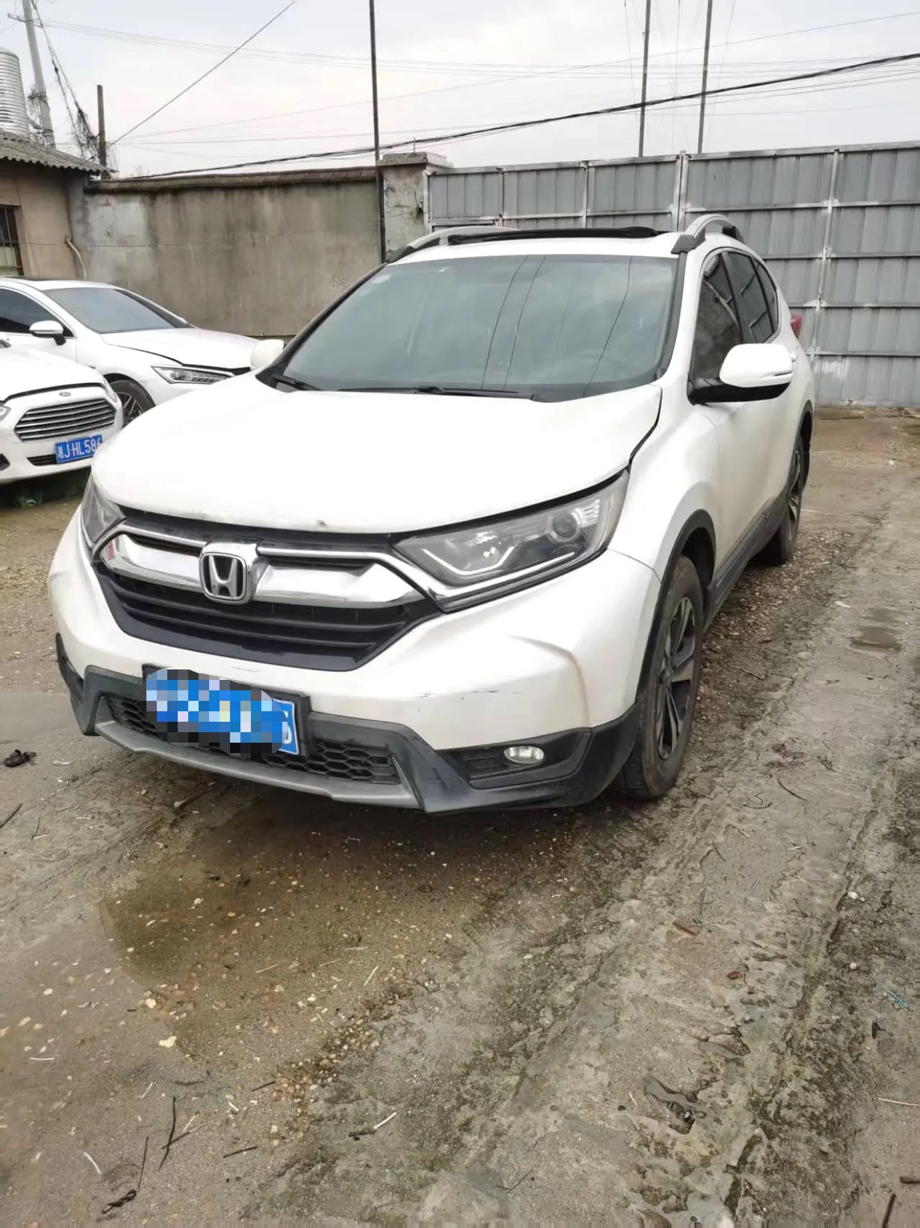 Honda CR-V 2019 Honda CR-V 2019 car image