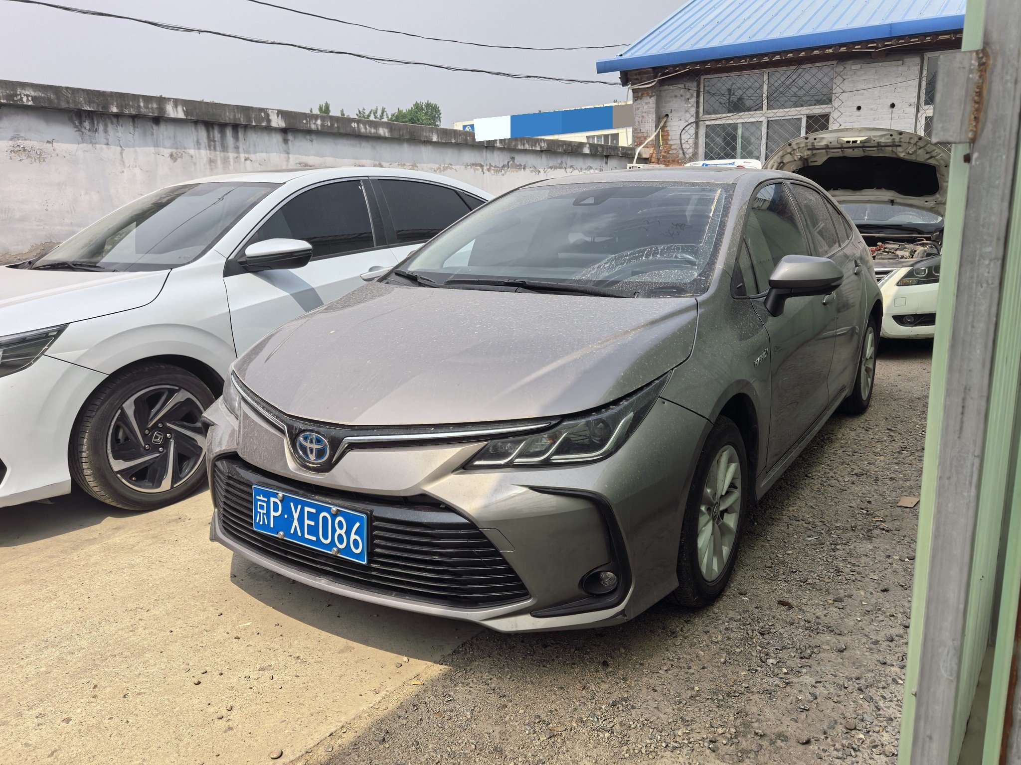 Toyota Corolla 2023 Toyota Corolla 2023 car image
