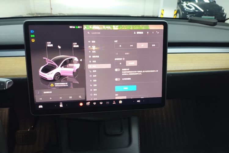 Tesla Model Y 2022 car image #13