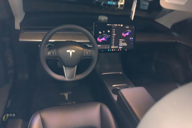 Tesla Model 3 2021 imagem de carro #11