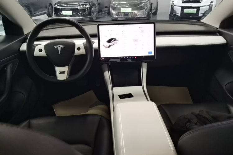 Tesla Model 3 2020 car image #10