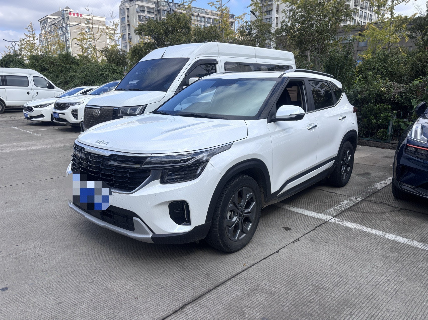 Kia Seltos 2024 car image 