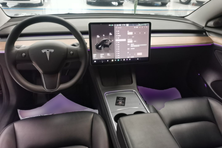 Tesla Model 3 2023 #10 Tesla Model 3 2023 car image #10