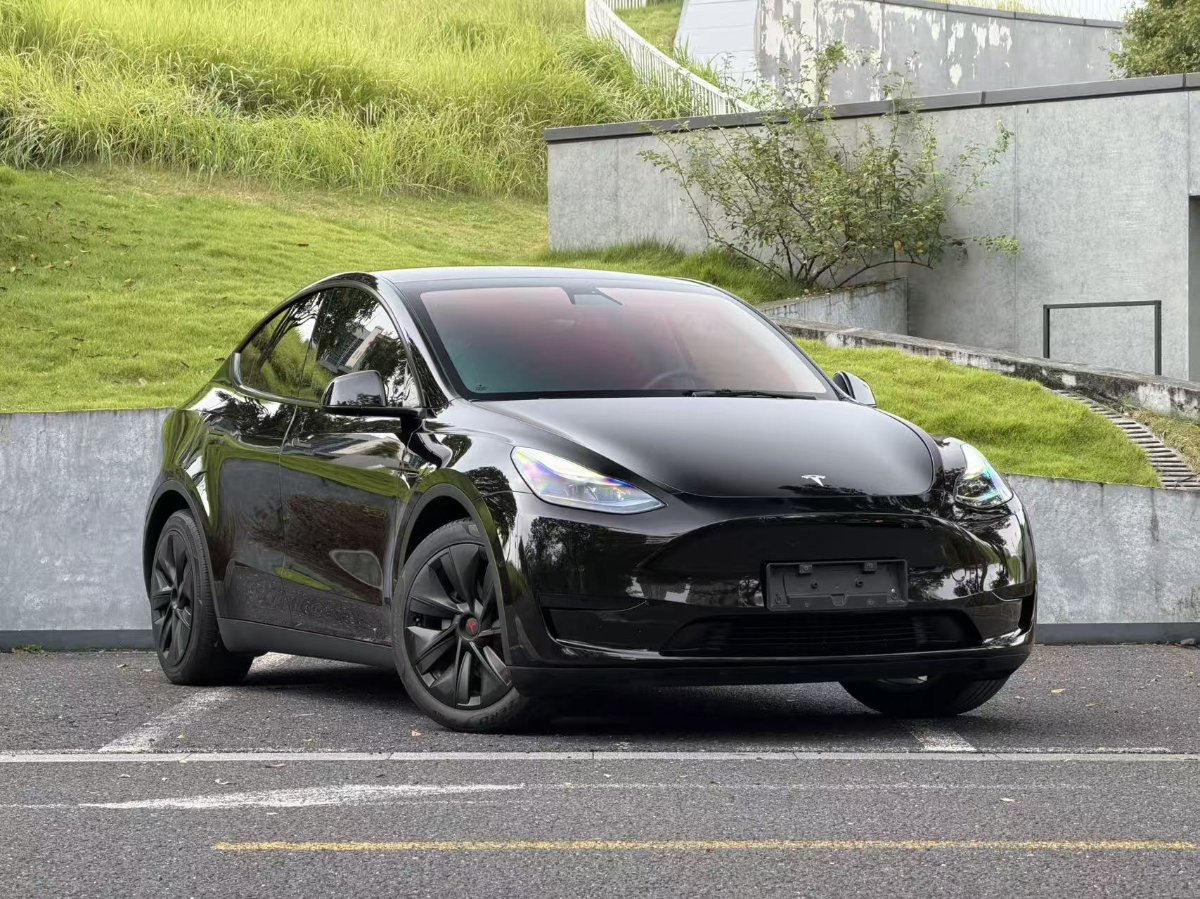 Tesla Model Y 2022 car image 