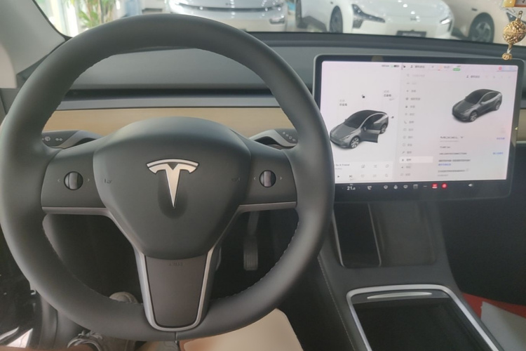 Tesla Model Y 2021 car image #10