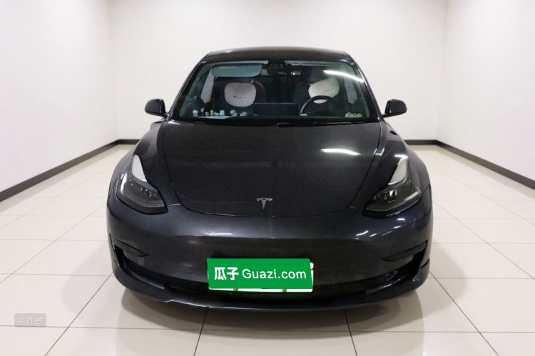 Tesla Model 3 2021 #3 Tesla Model 3 2021 car image #3